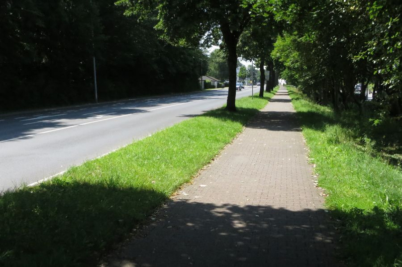 Die Grünen Stadt Aachen Blühstreifen bzw. Blühflächen auf